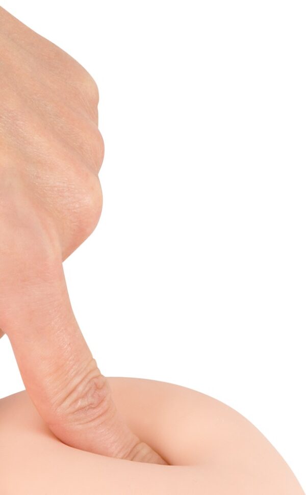 Dildo med sugfot 24cm Ø 3,1-4,4cm