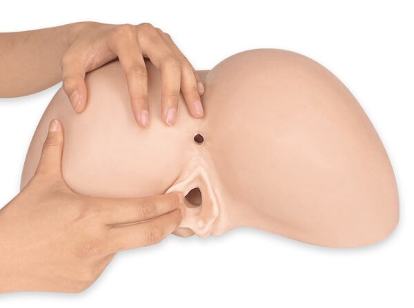 Daphne Ass Masturbator 27,0cm